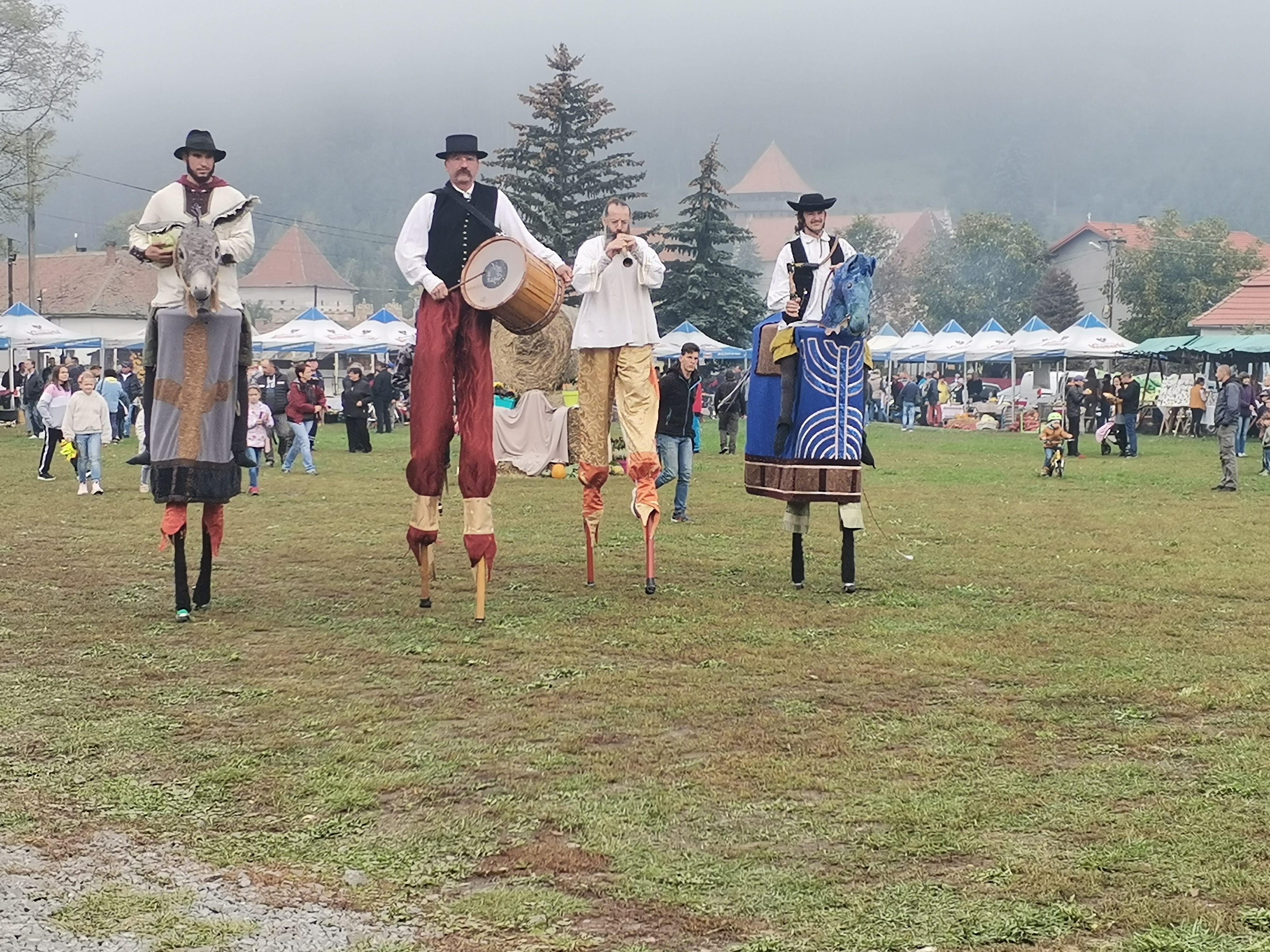 Barabás-Pál Hajnalka